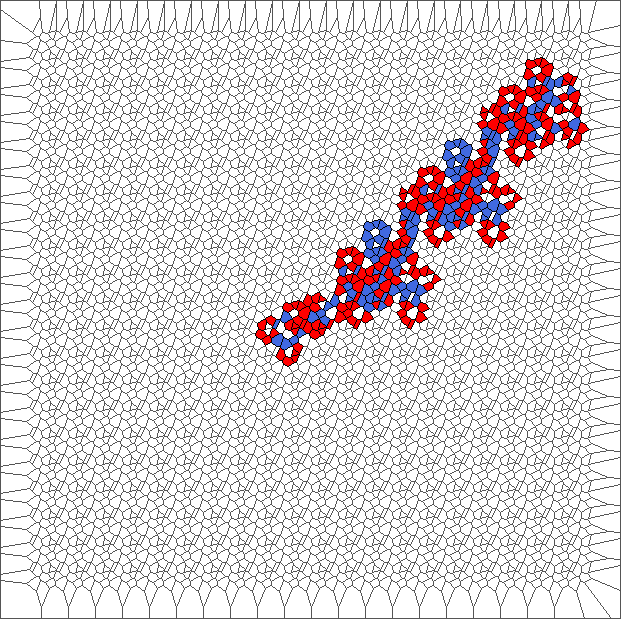 1000 iterations with RL rule
