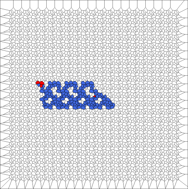 1000 iterations with SP rule